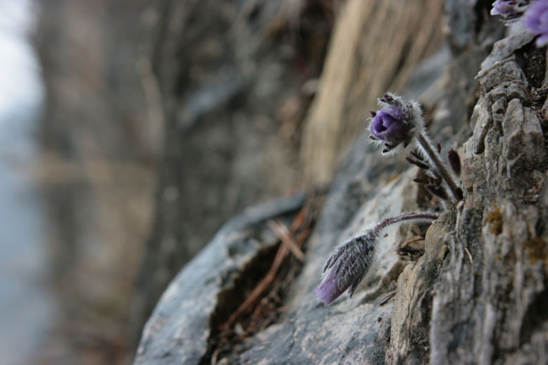 �̹����� Ŭ���ϸ� ������ ���� �� �ֽ��ϴ�.