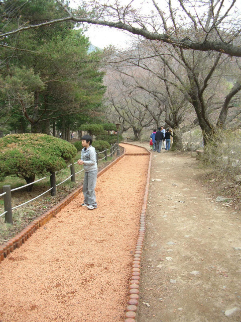 속리산사내리캠핑장 이미지