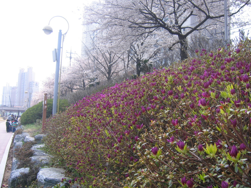 수안초등학교 이미지