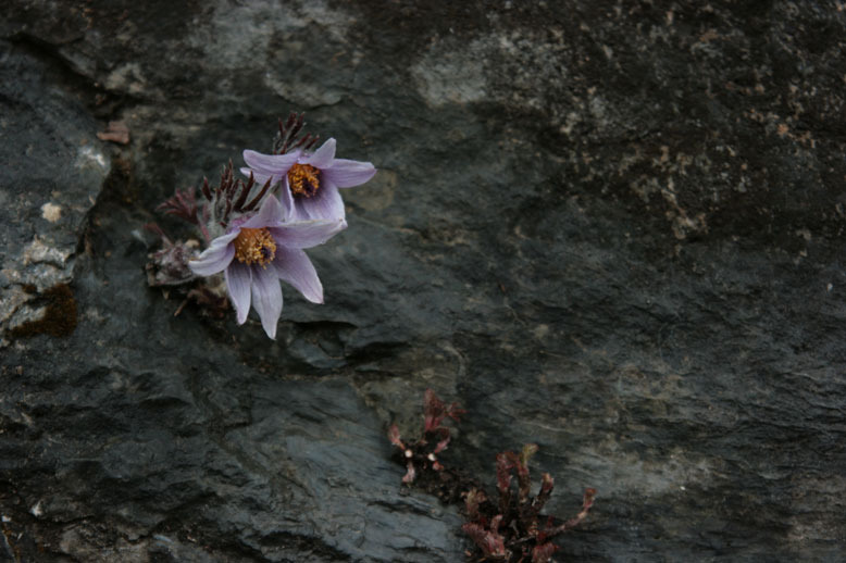 �̹����� Ŭ���ϸ� ������ ���� �� �ֽ��ϴ�.