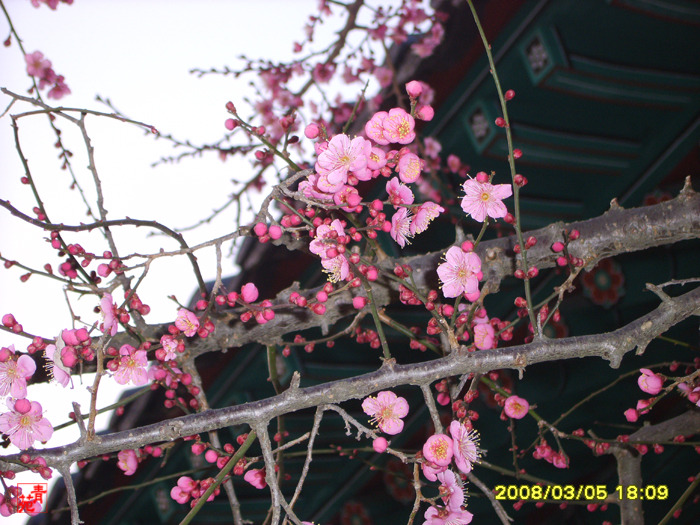 �̹����� Ŭ���ϸ� ������ ���� �� �ֽ��ϴ�.