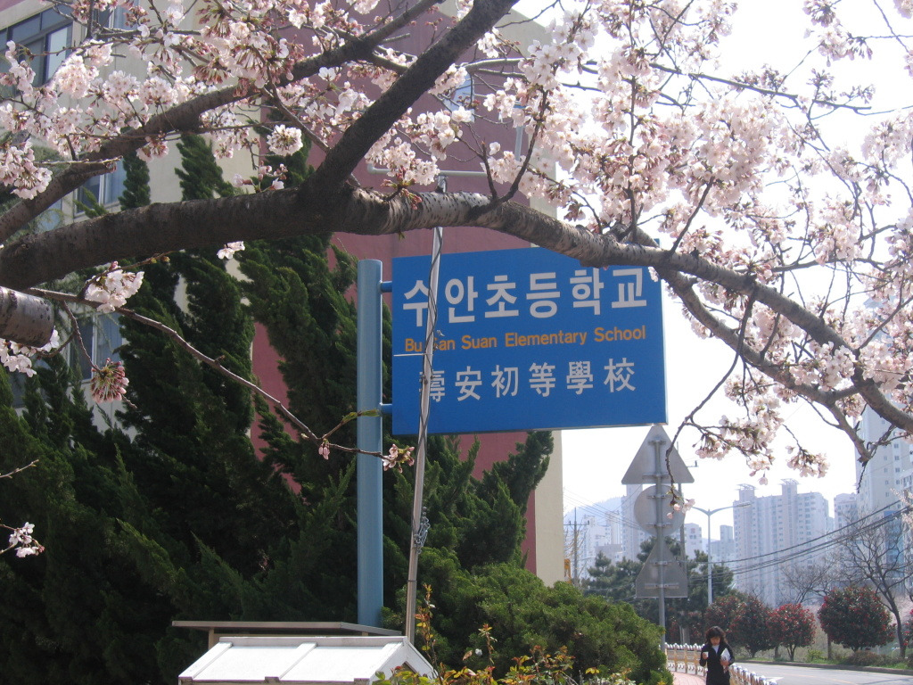 수안초등학교 이미지