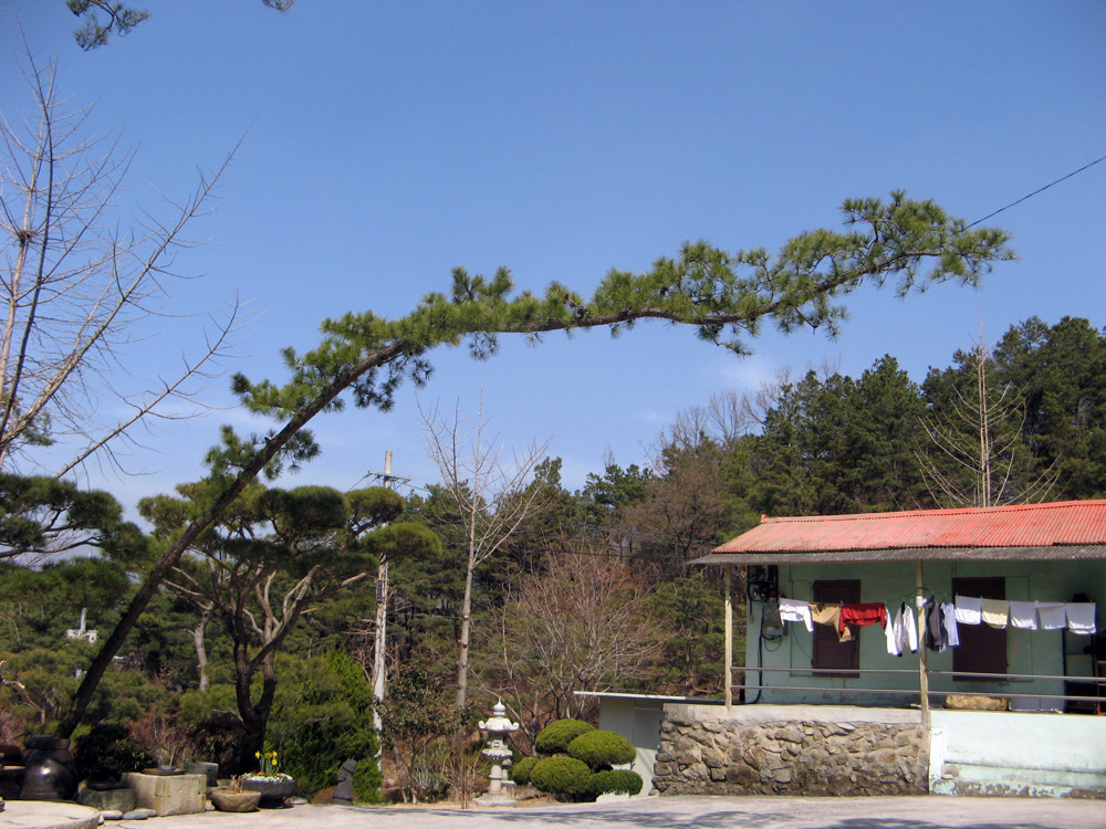 �̹����� Ŭ���ϸ� ������ ���� �� �ֽ��ϴ�.