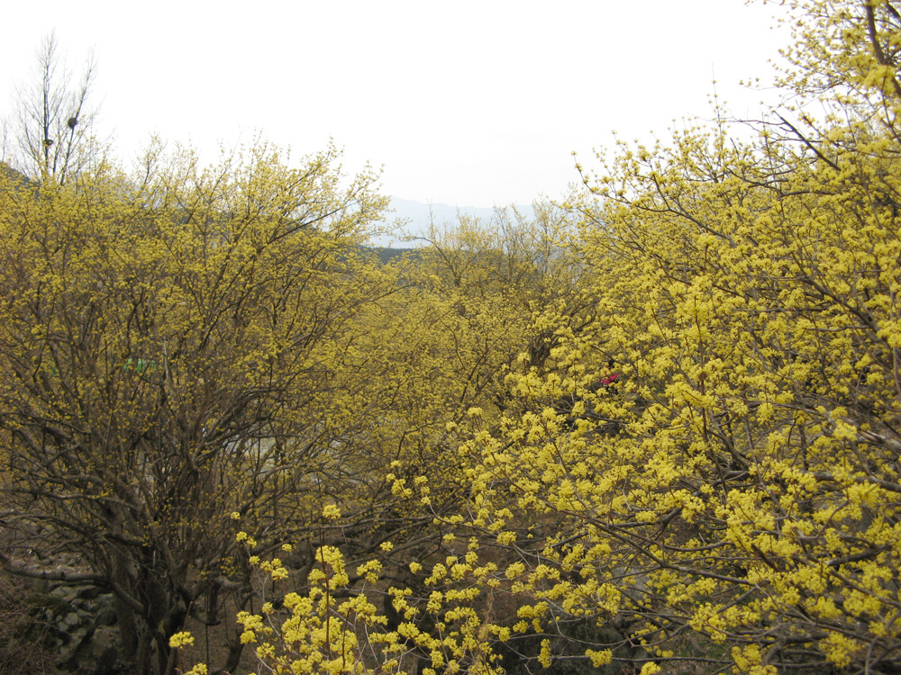 �̹����� Ŭ���ϸ� ������ ���� �� �ֽ��ϴ�.