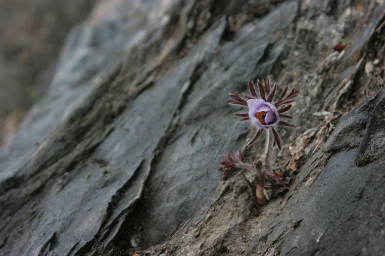 �̹����� Ŭ���ϸ� ������ ���� �� �ֽ��ϴ�.