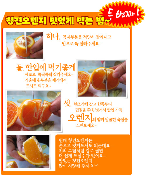 귤내음 이미지