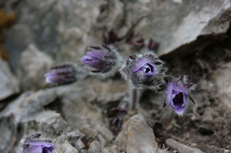 �̹����� Ŭ���ϸ� ������ ���� �� �ֽ��ϴ�.