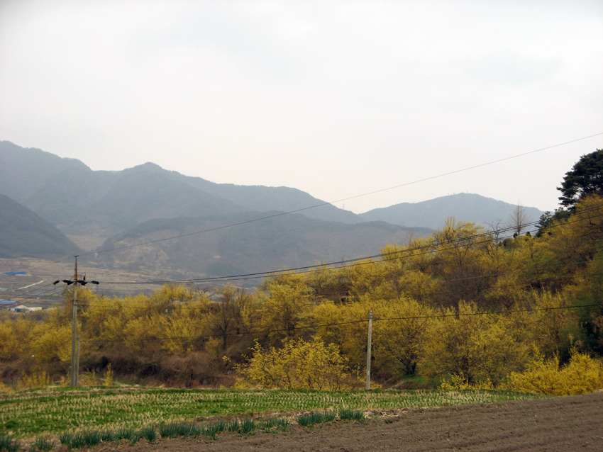 �̹����� Ŭ���ϸ� ������ ���� �� �ֽ��ϴ�.