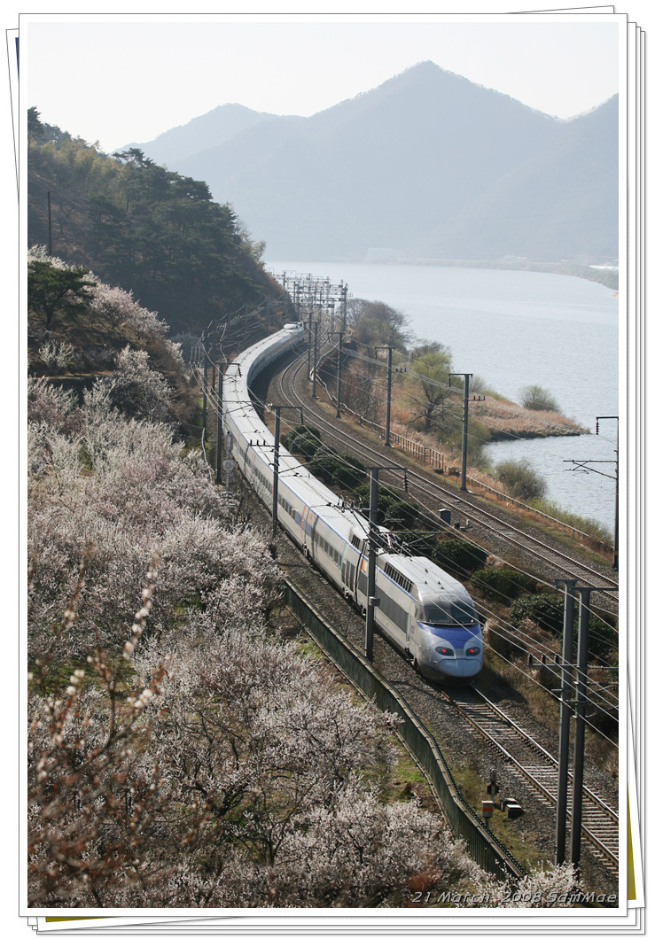 원동 이미지