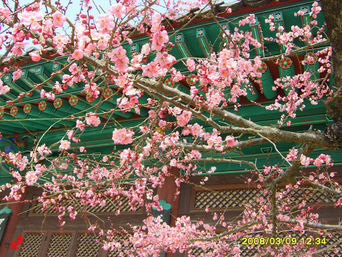 �̹����� Ŭ���ϸ� ������ ���� �� �ֽ��ϴ�.