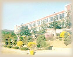 동두천초등학교 이미지