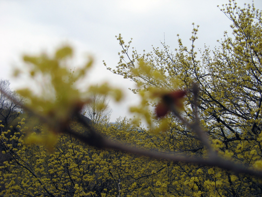 �̹����� Ŭ���ϸ� ������ ���� �� �ֽ��ϴ�.