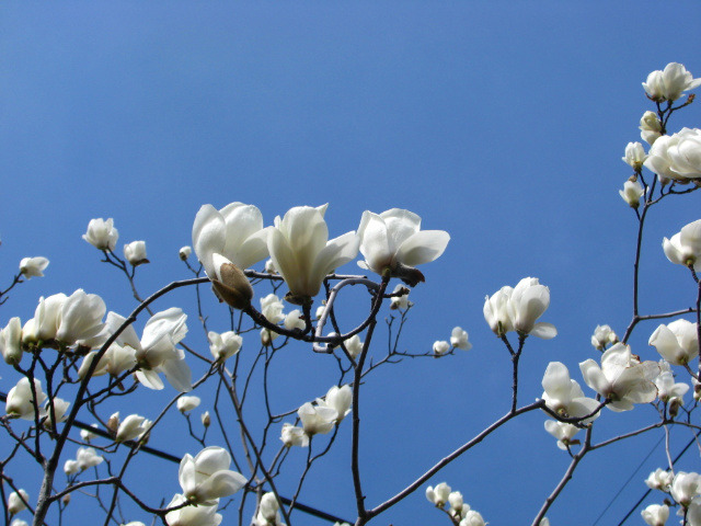 �̹����� Ŭ���ϸ� ������ ���� �� �ֽ��ϴ�.