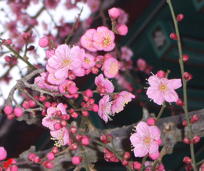 �̹����� Ŭ���ϸ� ������ ���� �� �ֽ��ϴ�.