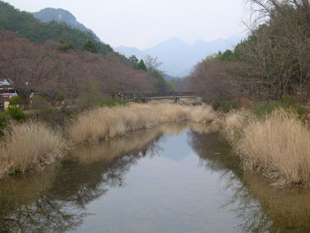 속리산사내리캠핑장 이미지